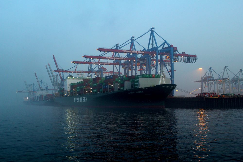 Nebelstimmung auf der Elbe