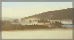 Nebelstimmung auf der schwäbischen Alb