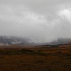 Nebelstimmung auf Rannoch Moor ...