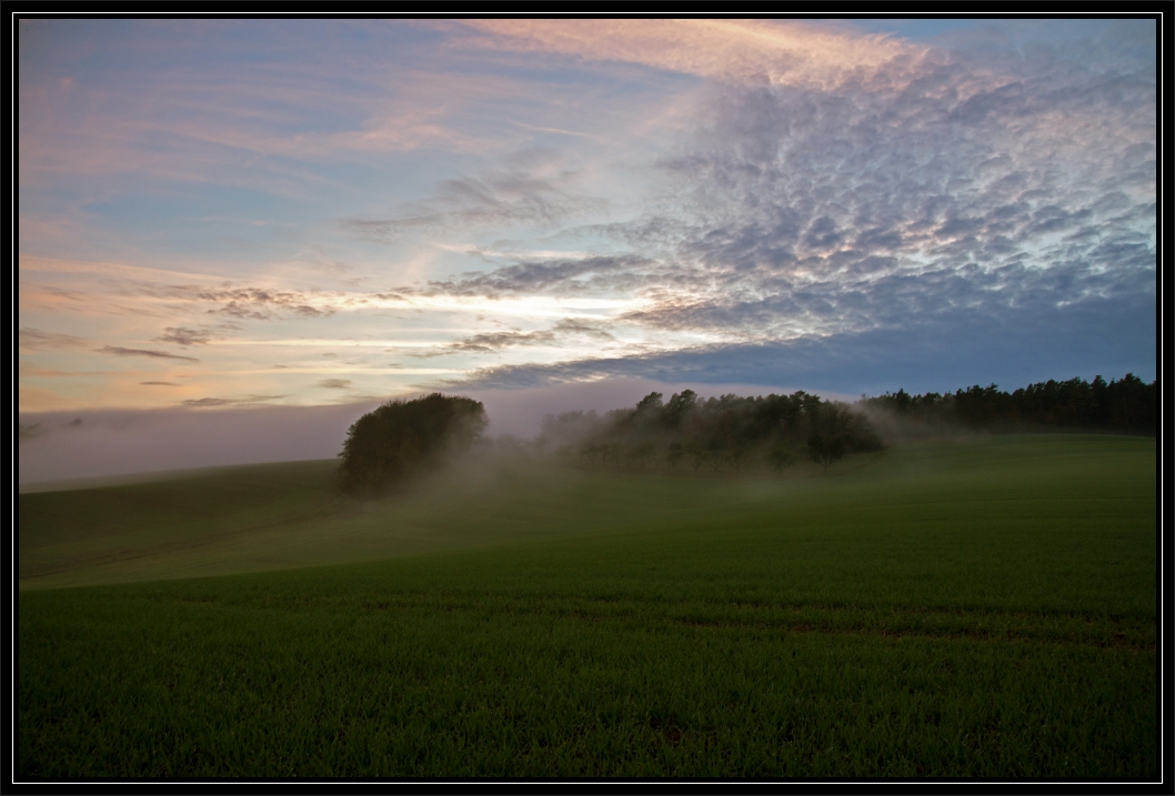 Nebelstimmung bei Böttigheim (2)