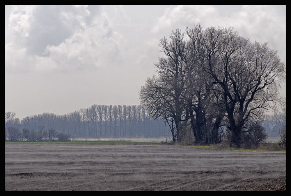 Nebelstimmung bei Puchheim