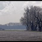 Nebelstimmung bei Puchheim