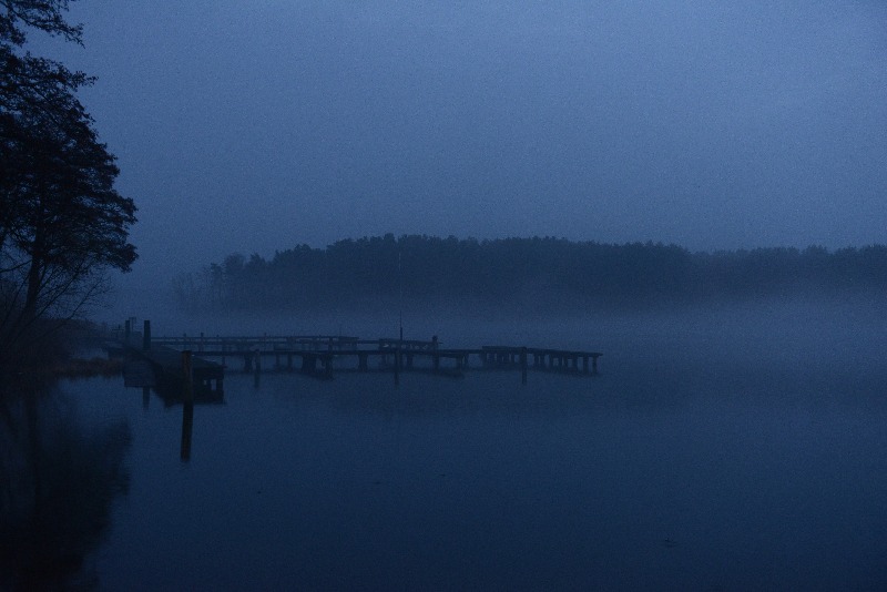 Nebelstimmung bei Rheinsberg