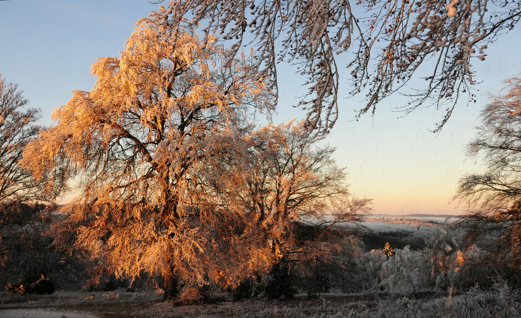 Nebelstimmung beim Sonnenaufgang auf dem Volkmarsberg