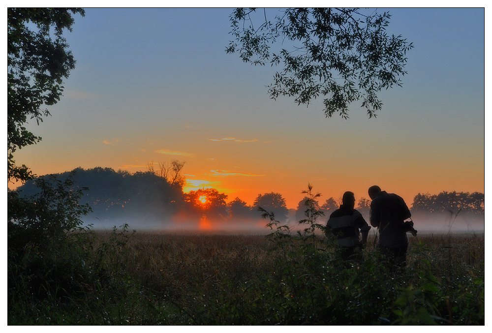 Nebelstimmung die zweite .......