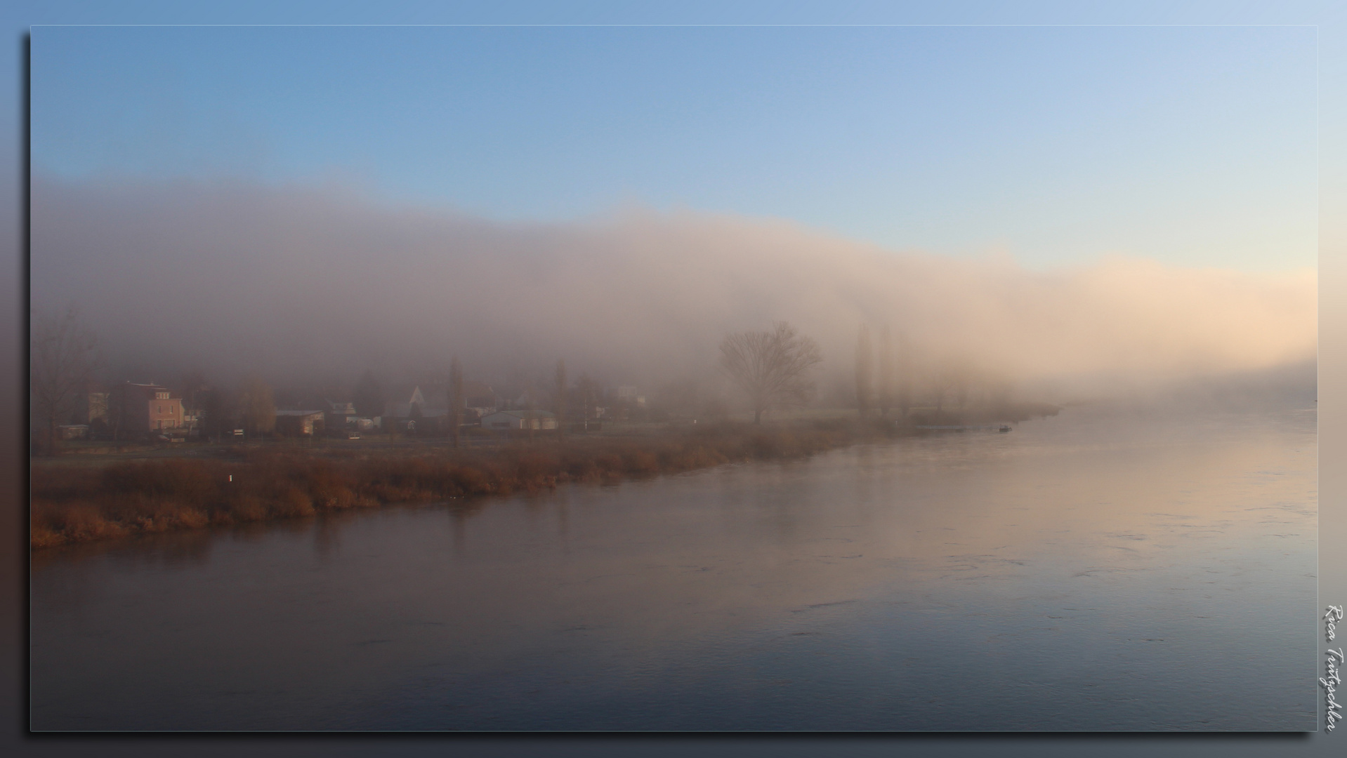 Nebelstimmung Elbe