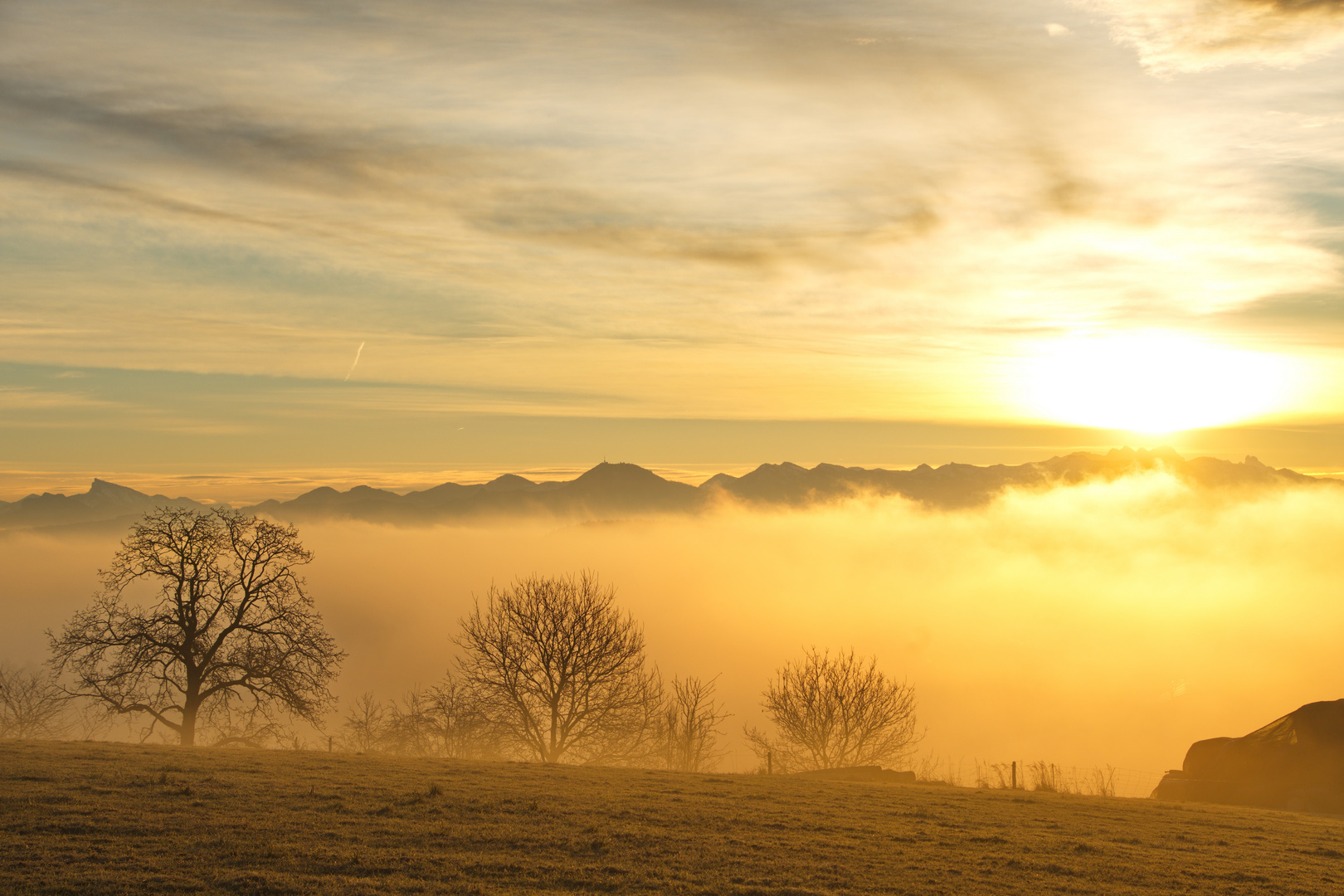 Nebelstimmung 