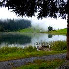 Nebelstimmung , Golzernsee