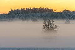 Nebelstimmung im Abendlicht