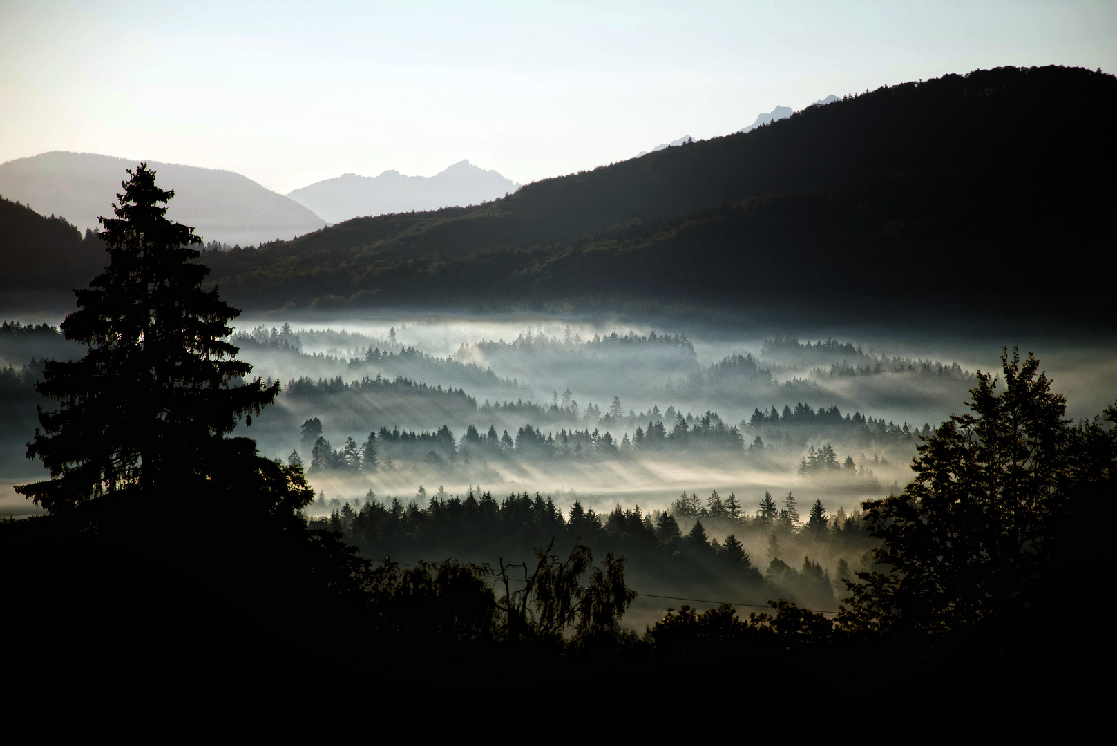 Nebelstimmung im Allgäu