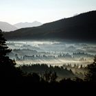 Nebelstimmung im Allgäu