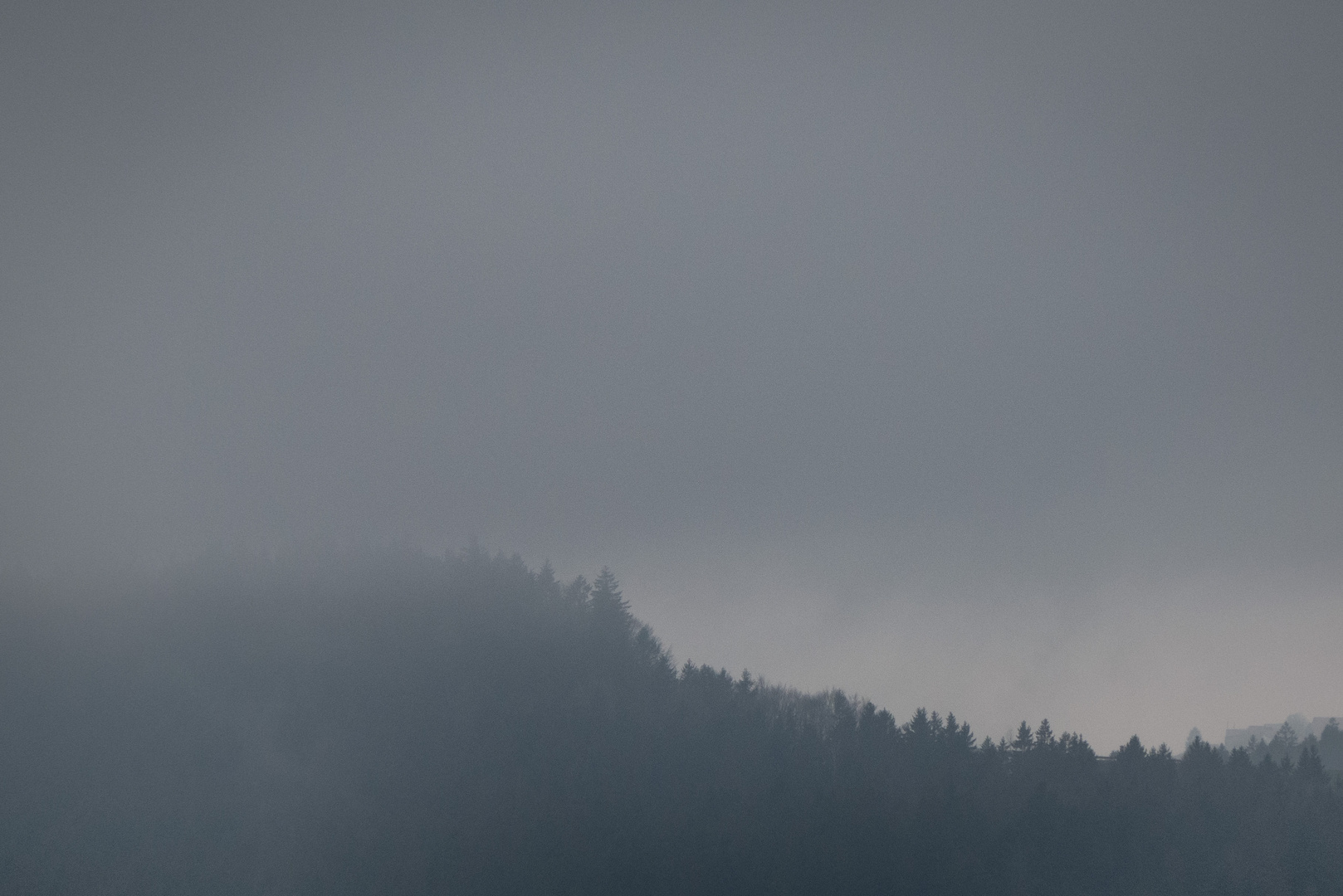 Nebelstimmung  im Bayerischen Wald