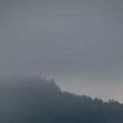 Nebelstimmung  im Bayerischen Wald