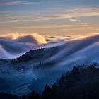 Nebelstimmung im Belchengebiet