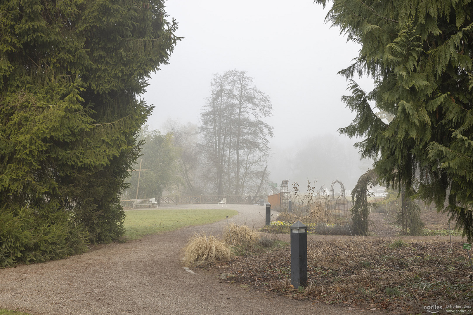 Nebelstimmung im Botanischen Garten