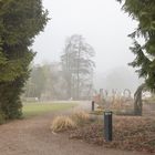 Nebelstimmung im Botanischen Garten