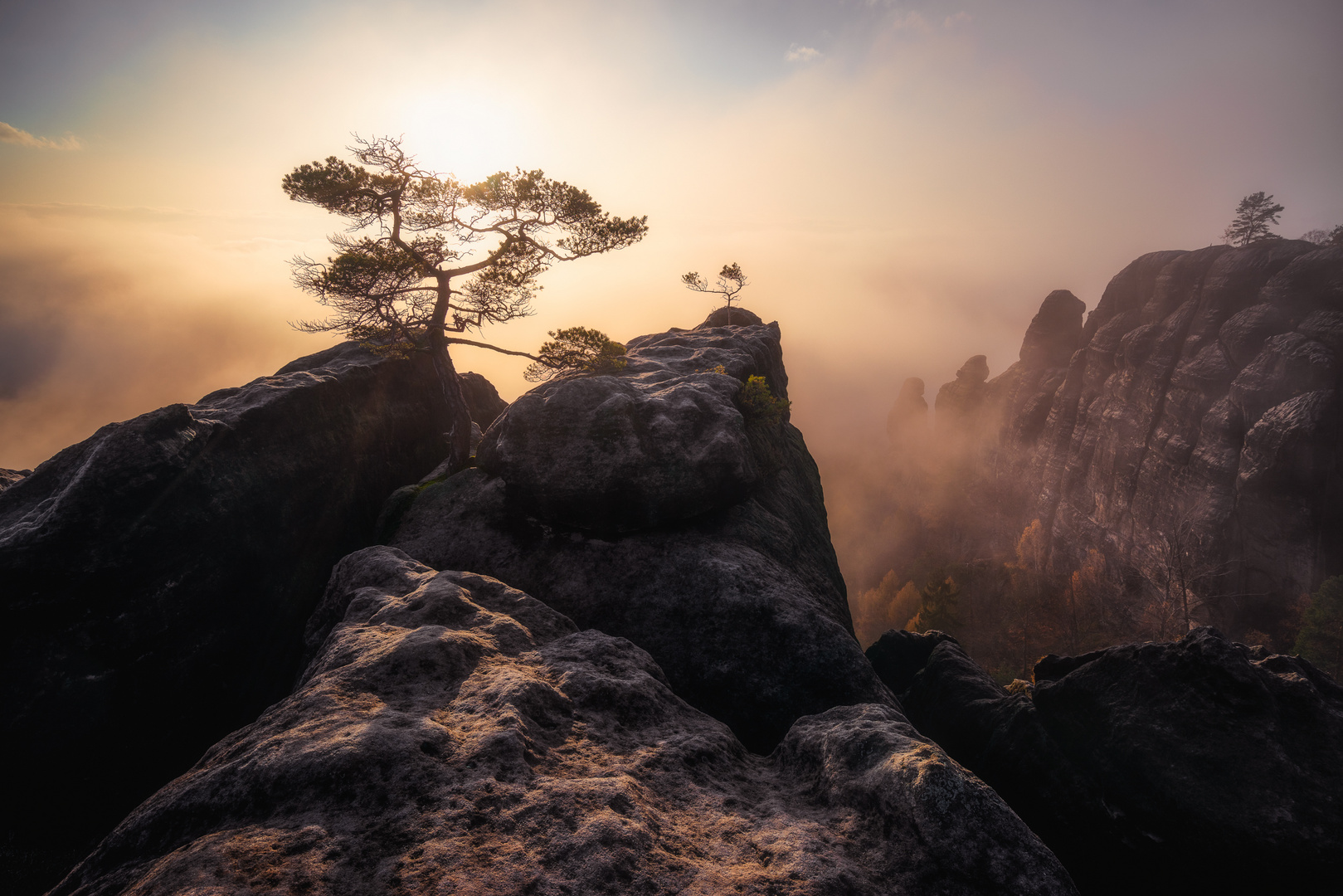 Nebelstimmung im Elbsandsteingebirge