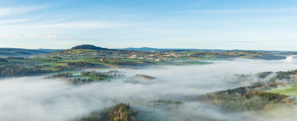 Nebelstimmung im Frühling