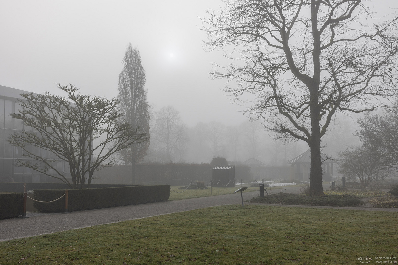 Nebelstimmung im Garten