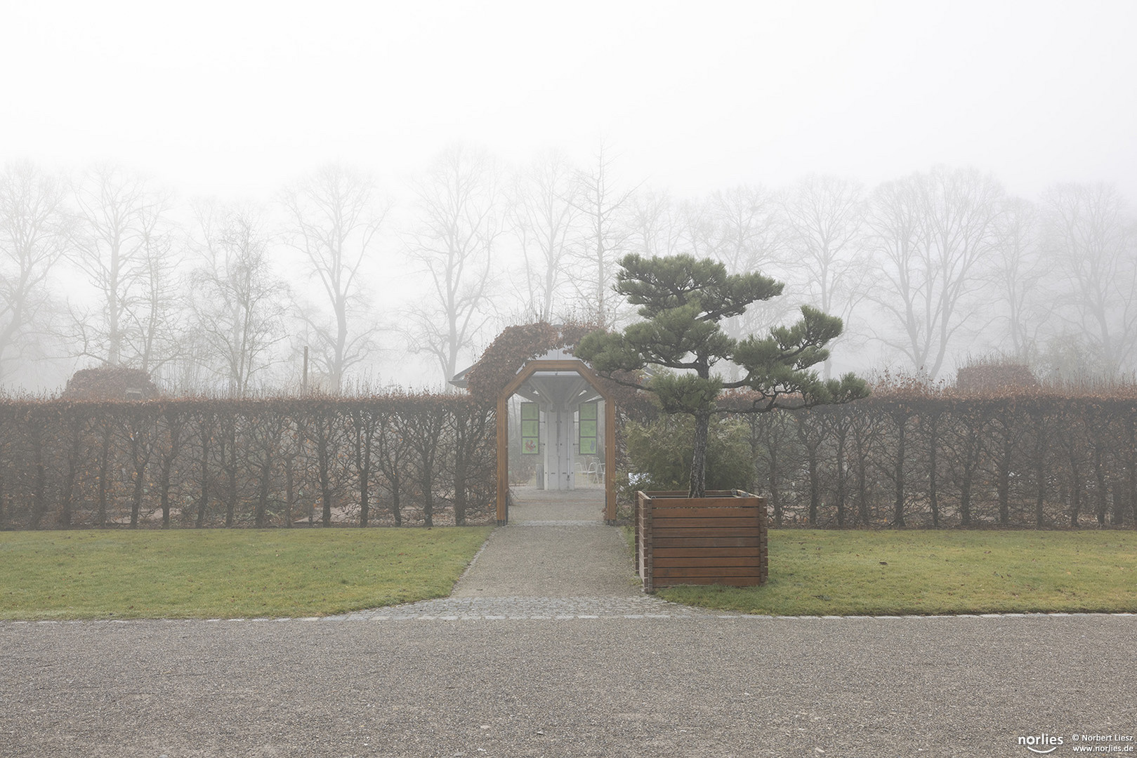 Nebelstimmung im Garten