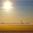 Nebelstimmung im Gegenlicht