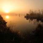 Nebelstimmung im Goldenstedter Moor