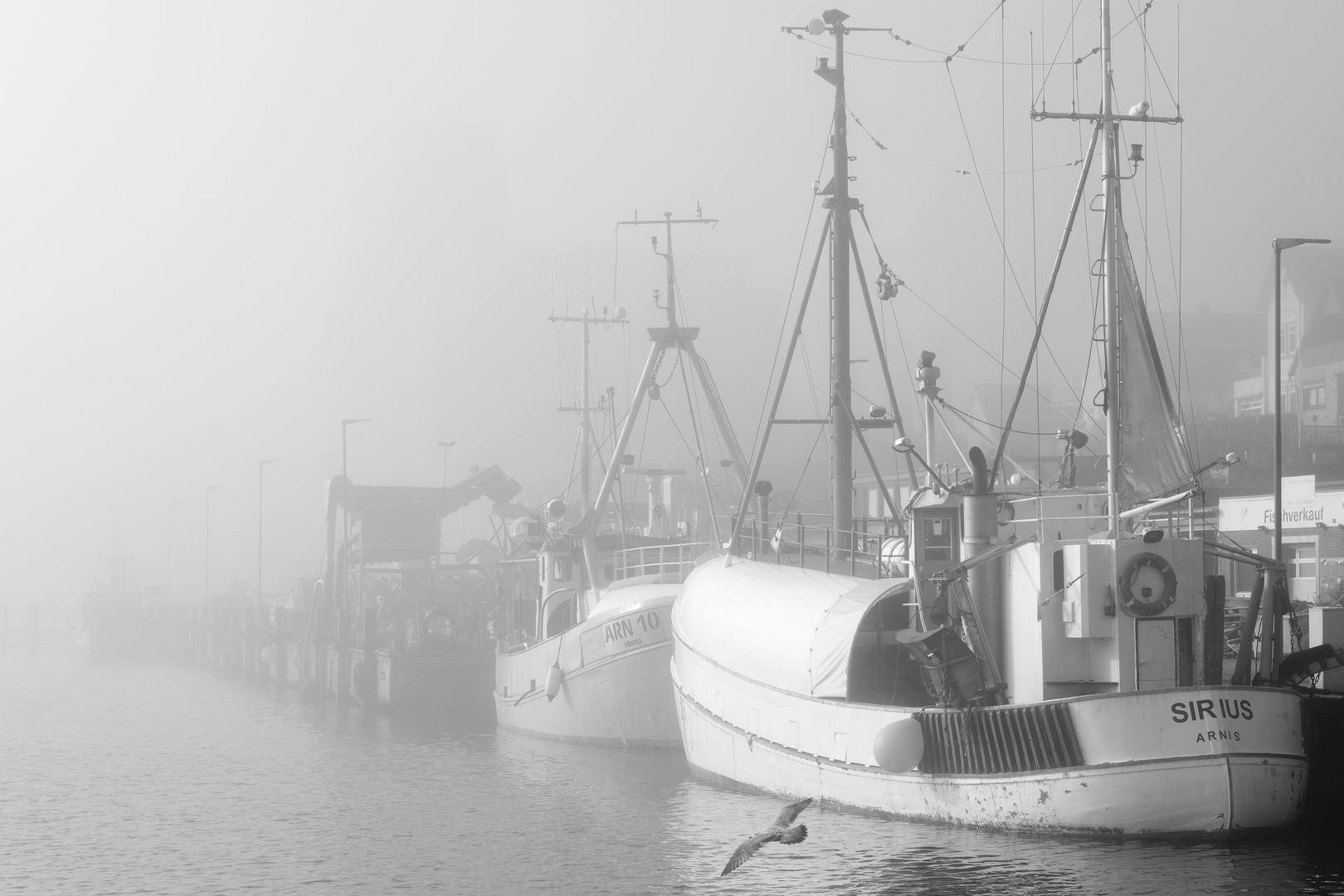 Nebelstimmung im Hafen