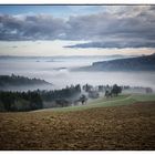 Nebelstimmung im Hegau 