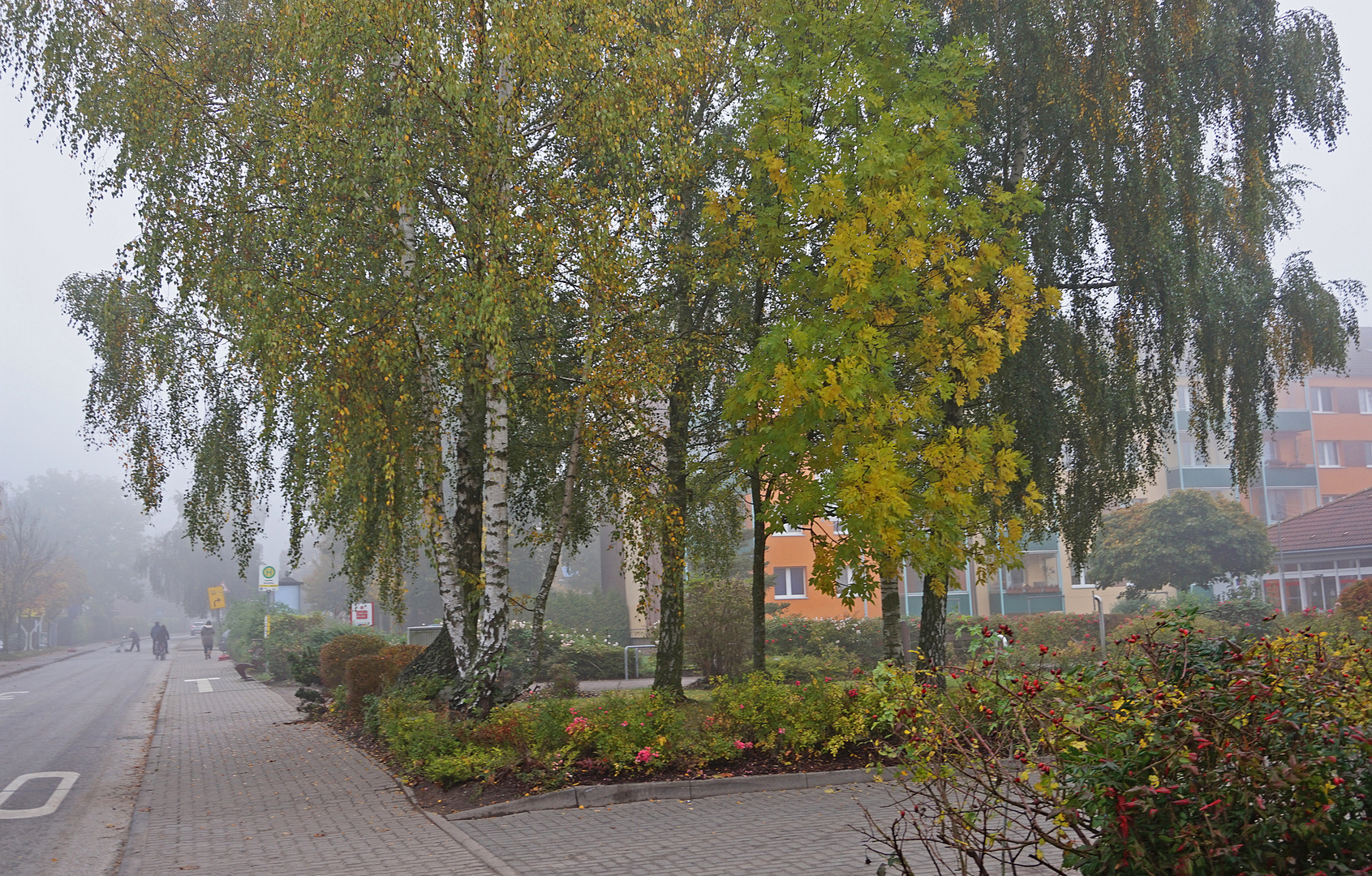 Nebelstimmung im Herbst