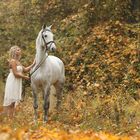 Nebelstimmung im Herbstwald