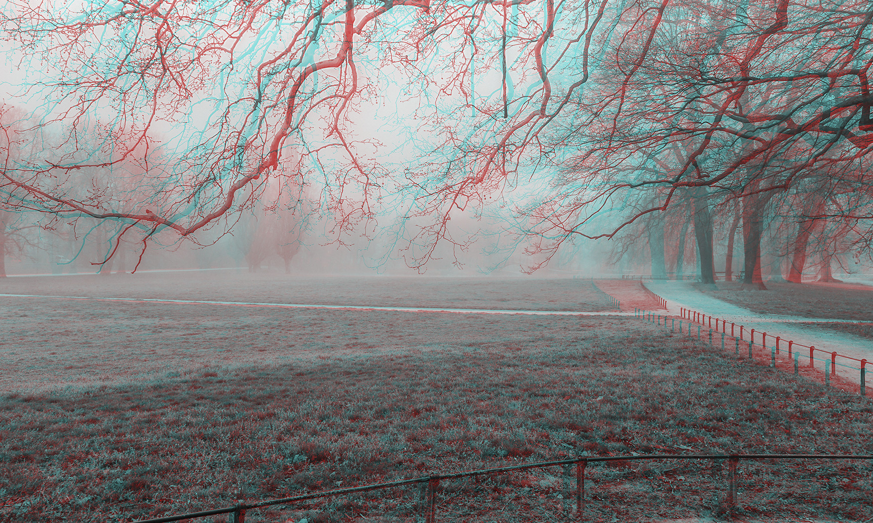 Nebelstimmung im Johannapark 2 (3D)