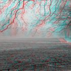 Nebelstimmung im Johannapark 2 (3D)