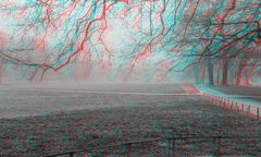 Nebelstimmung im Johannapark 2 (3D)