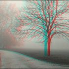 Nebelstimmung im Johannapark 3 (3D)