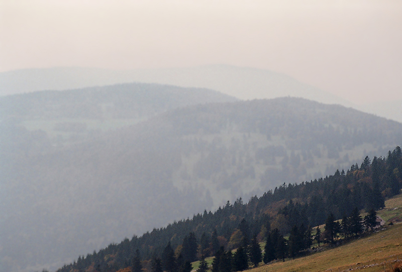 Nebelstimmung im Jura