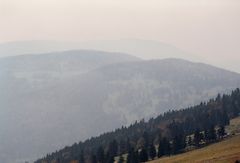 Nebelstimmung im Jura