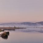 Nebelstimmung im Moor