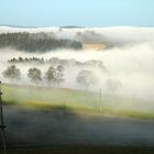 Nebelstimmung im Mühlviertel