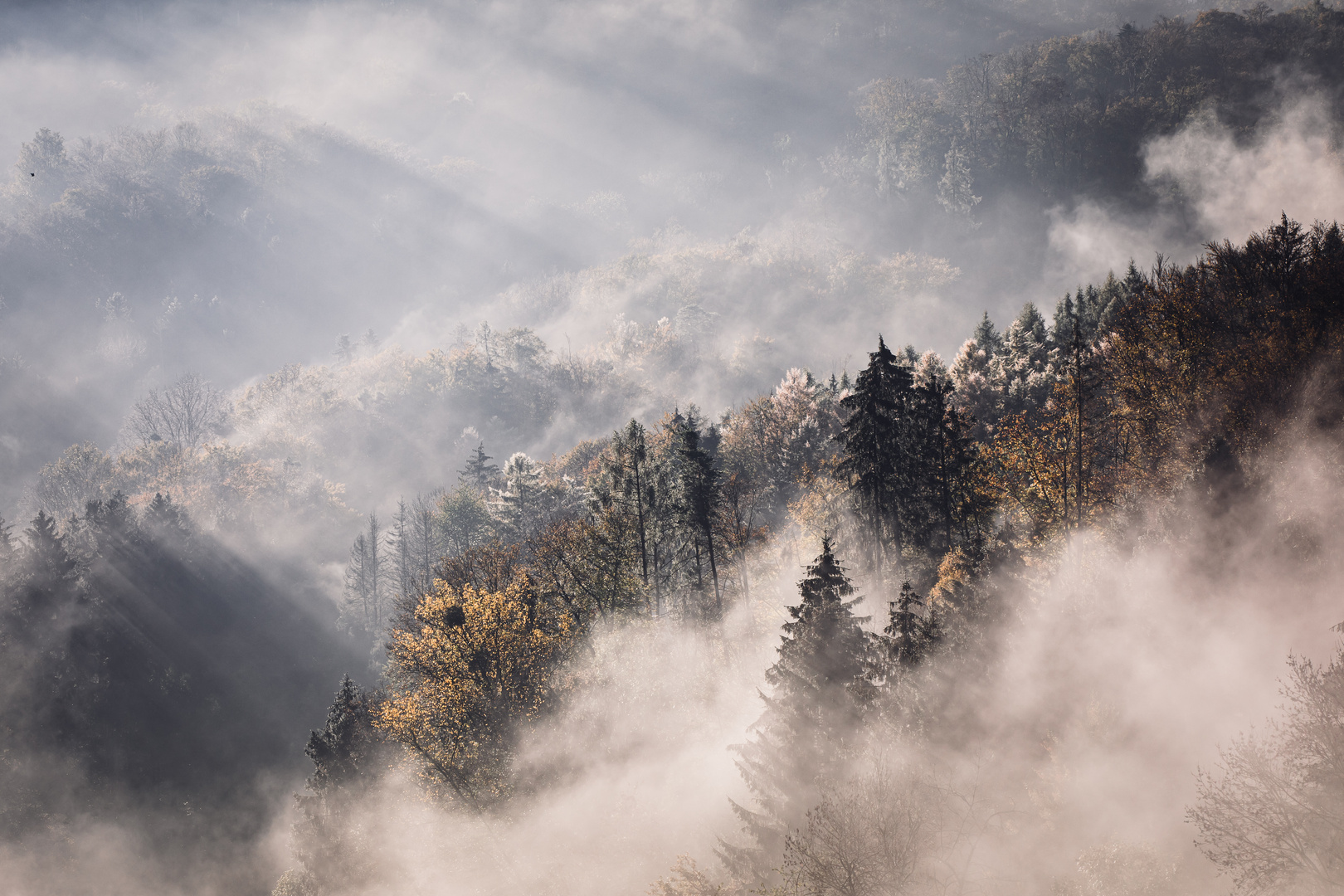 Nebelstimmung im Odenwald 