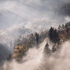 Nebelstimmung im Odenwald 