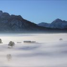 Nebelstimmung im Ostallgäu