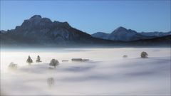 Nebelstimmung im Ostallgäu