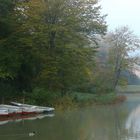 Nebelstimmung im Park