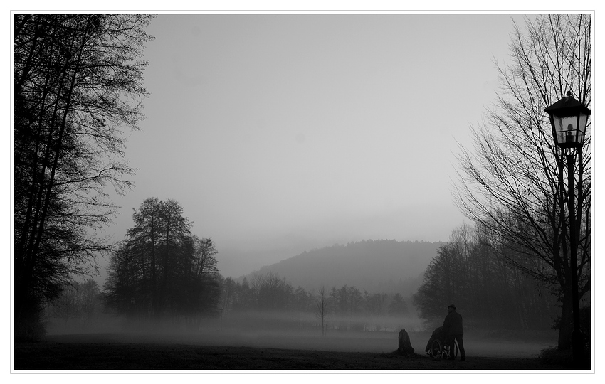 Nebelstimmung im Park