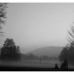 Nebelstimmung im Park