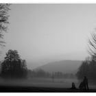 Nebelstimmung im Park