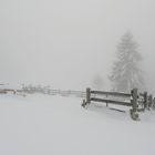 Nebelstimmung im Schwarzwald