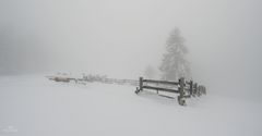 Nebelstimmung im Schwarzwald