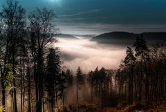 Nebelstimmung im Schwarzwald 