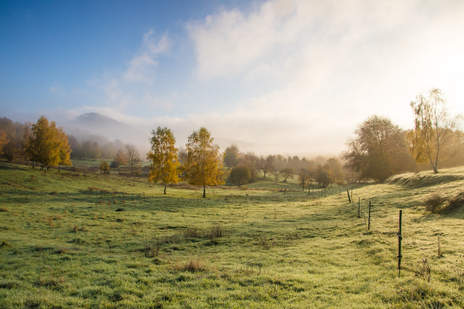 Nebelstimmung im Trifelsland